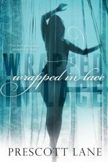 Wrapped in Lace Read online