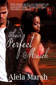 9781631050275TheirPerfectMatchMarshNC Read online