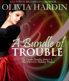 A Bundle of Trouble (The Lynlee Lincoln Sets Book 1) Read online