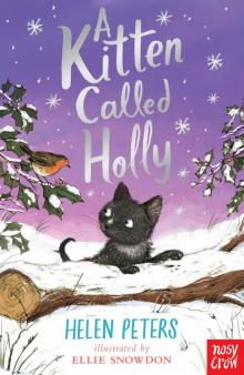 A Kitten Called Holly Read online