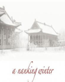 A Nanking Winter Read online