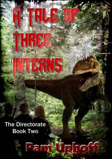A Tale of Three Interns (The Directorate Book 2) Read online