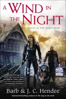A Wind in the Night Read online