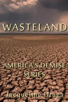 America's Demise 01 - Wasteland Read online