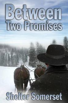 Between Two Promises Read online