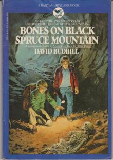 Bones On Black Spruce Mountain Read online