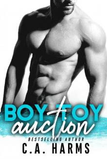 Boy Toy Auction Read online