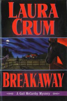 Breakaway (A Gail McCarthy Mystery) Read online