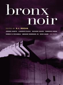 Bronx Noir Read online