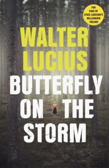 Butterfly on the Storm Read online