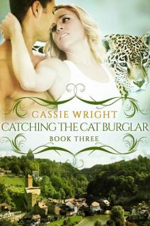 Catching the Cat Burglar: (BBW Paranormal Shape Shifter Romance) (Honeycomb Falls Book 3) Read online
