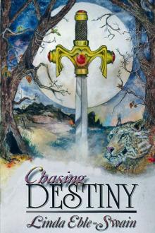 Chasing Destiny