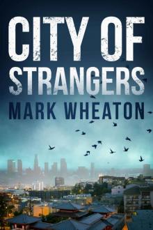City of Strangers (Luis Chavez Book 2) Read online