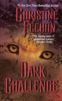 Dark Challenge (Dark Series - book 5) Read online