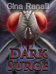 Dark Surge Read online