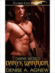Daryk Warrior Read online