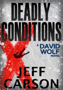 Deadly Conditions (David Wolf Book 4) Read online