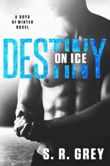 Destiny on Ice (Boys of Winter #1) Read online