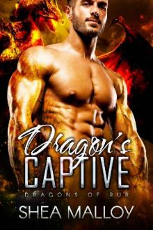 Dragon's Captive: Dragons of Rur Read online