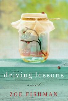 Driving Lessons: A Novel Read online