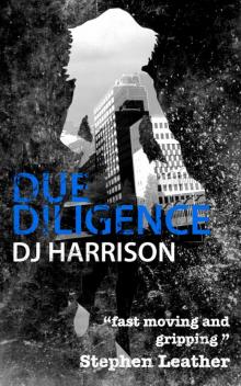 Due Diligence Read online