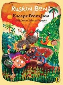 Escape From Java and Other Tales of Danger Read online
