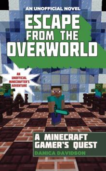 Escape from the Overworld Read online