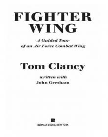 Fighter Wing (1995) Read online