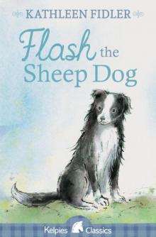 Flash the Sheep Dog Read online
