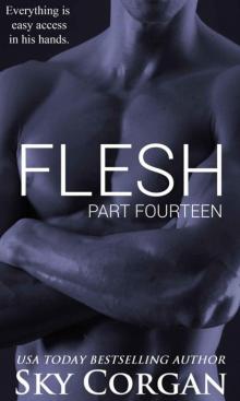 Flesh: Part Fourteen (The Flesh Series Book 14) Read online