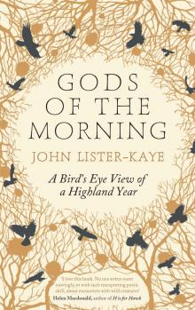 Gods of the Morning