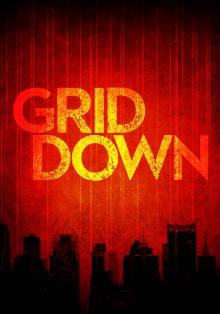 Grid Down: A Strike against America - An EMP Survival Story- Book Two Read online