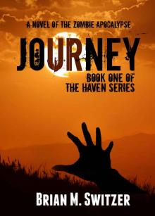 Haven (Book 1): Journey Read online