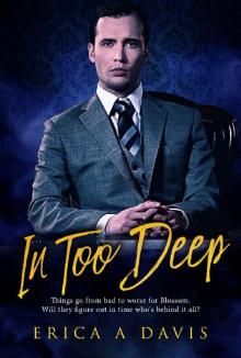 In Too Deep_BWWM Romance
