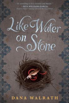 Like Water on Stone Read online