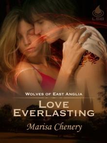 Love Everlasting woea-6 Read online