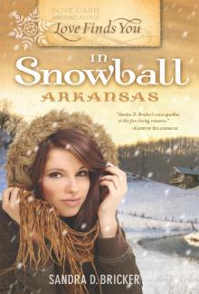 Love Finds You in Snowball, Arkansas