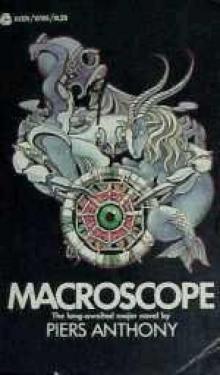 Macroscope Read online