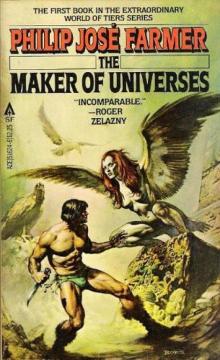 Maker of Universes Read online