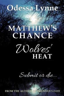 Matthew's Chance Read online