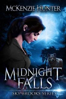 Midnight Falls (Sky Brooks Series Book 3) Read online