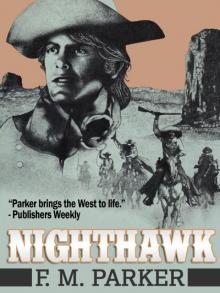 Nighthawk Read online