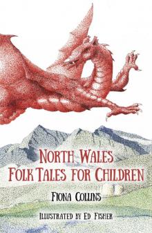 North Wales Folk Tales for Children Read online