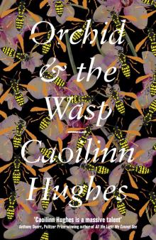 Orchid & the Wasp Read online