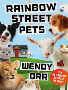 Rainbow Street Pets Read online