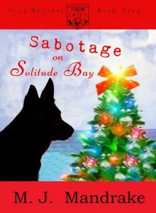 Sabotage on Solitude Bay Read online