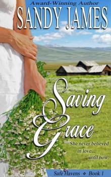 Saving Grace (Safe Havens) Read online