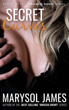 Secret Curves (Dangerous Curves Book 5) Read online