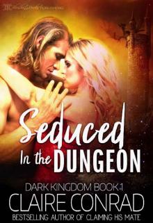 Seduced in the Dungeon (Dark Kingdom Book 1) Read online