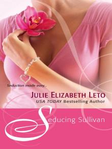 Seducing Sullivan